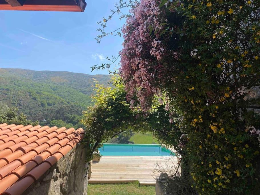 Villa La Loba - Un Pequeno Paraiso A Tu Alcance Fornelos de Montes Exterior foto