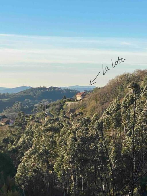 Villa La Loba - Un Pequeno Paraiso A Tu Alcance Fornelos de Montes Exterior foto